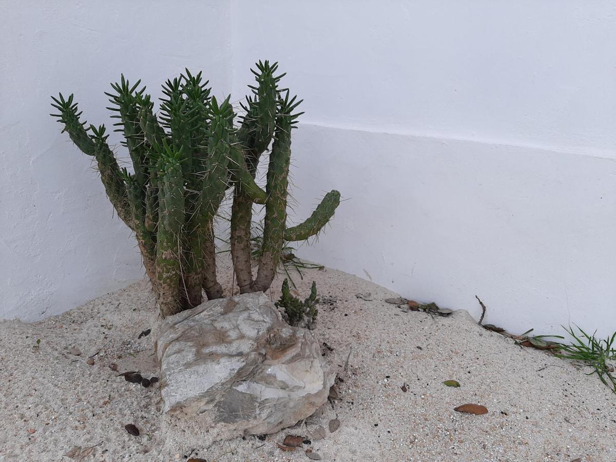 Monte Vale Manhas By Hi Alentejo Villa Sao Bartolomeu da Serra Ngoại thất bức ảnh